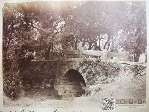 护龙桥旧照（来源：高士威的相册）